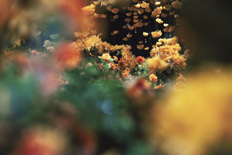 The Base Note Collection