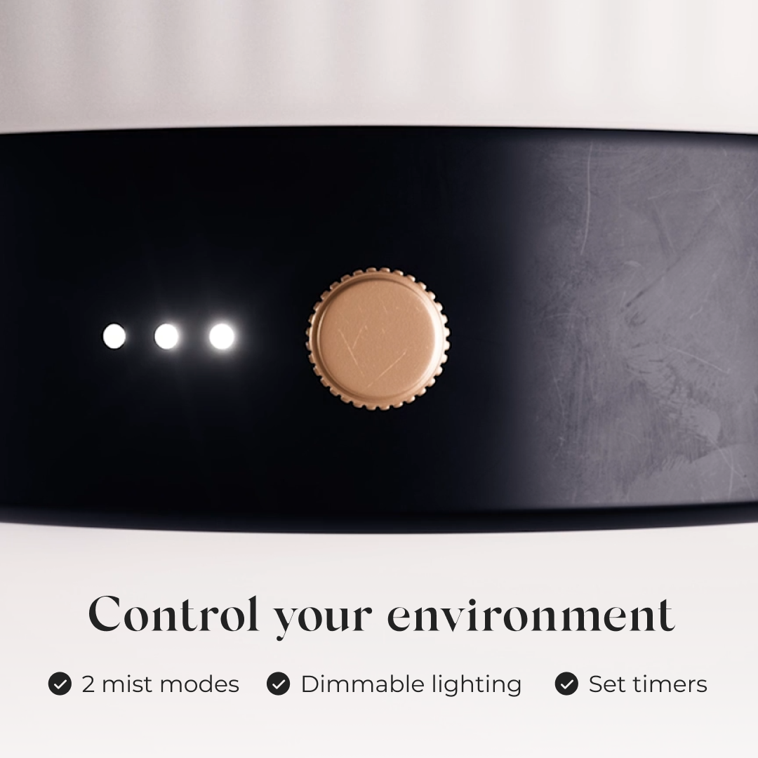 Ceramic Electric Diffuser Bundle