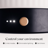Ceramic Electric Diffuser Bundle